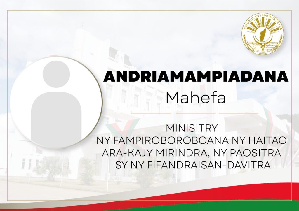 ANDRIAMAMPIADANA Mahefa