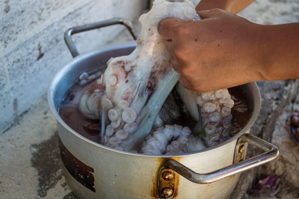 Cuisson de fruits de mer à Salary