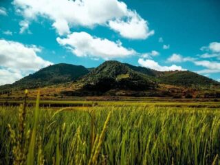 Faratsio - Région agricole