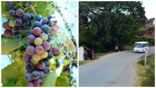 Fianarantsoa destination pour amateur de vin