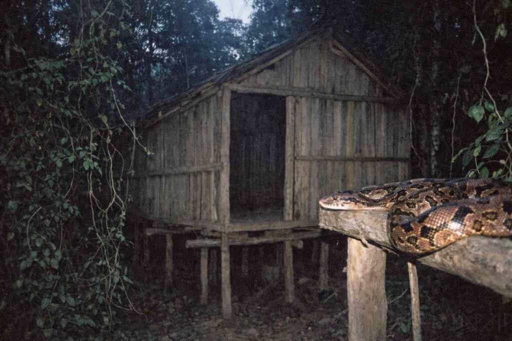 Hameau en falafa montées sur pilotis