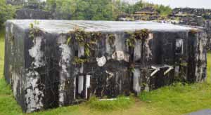 Le Fort Manda