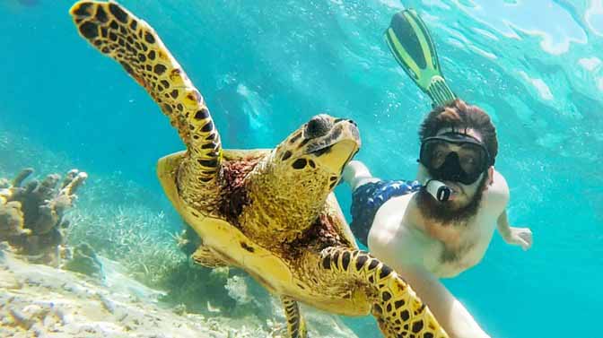 Nager avec les tortues