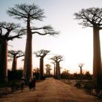 Organiser son séjour à Madagascar
