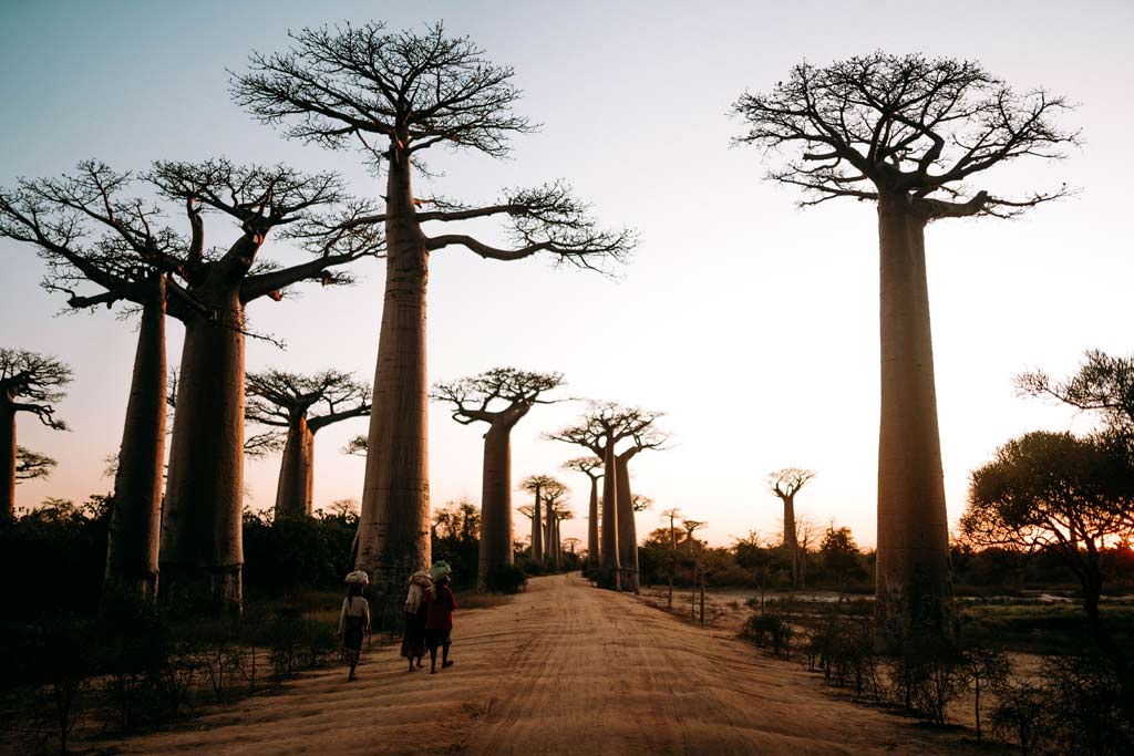 Organiser son séjour à Madagascar