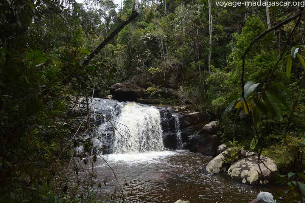 Parc Iaroka Andasibe