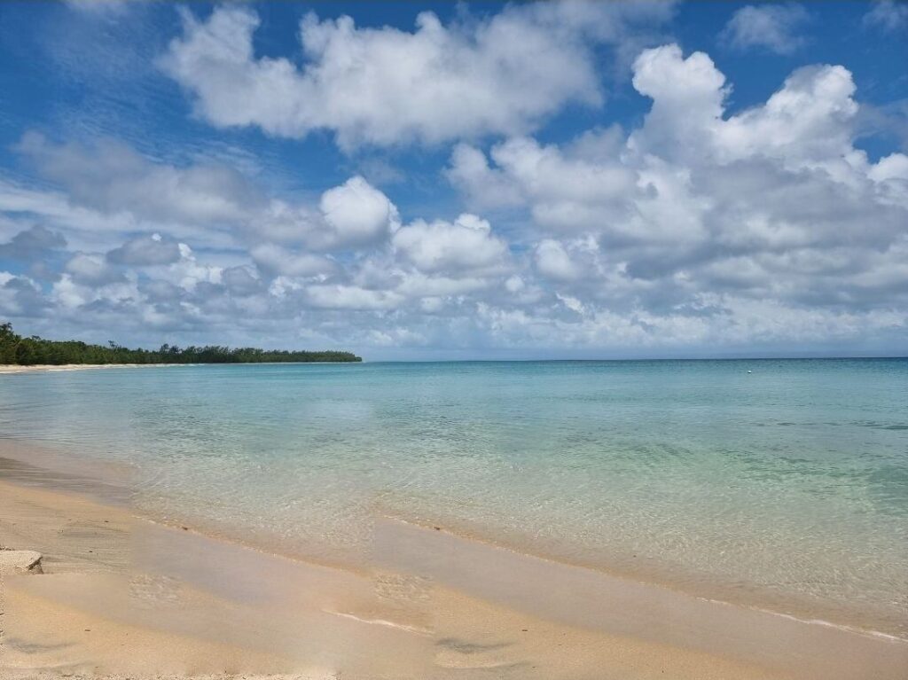 Plage Nord Ouest Sainte Marie près cocoterais