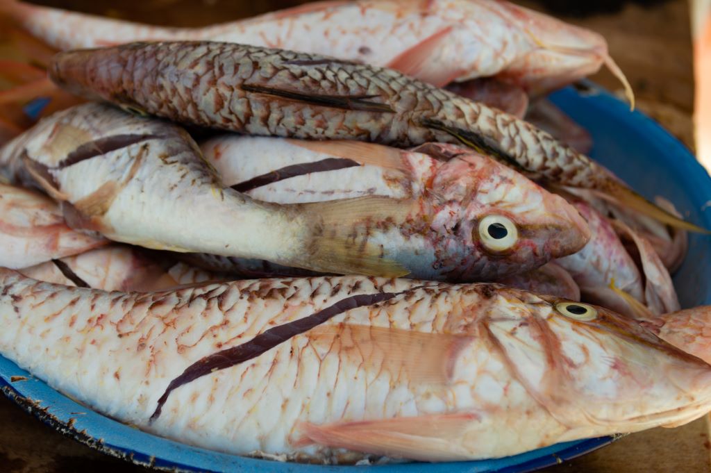 Plats de fruits de mer préparés par les locaux