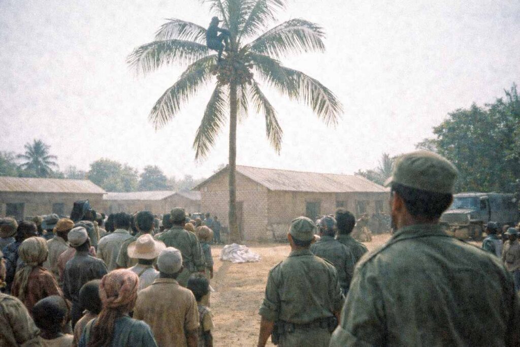 Ravorona grimpa au sommet d'un grand cocotier