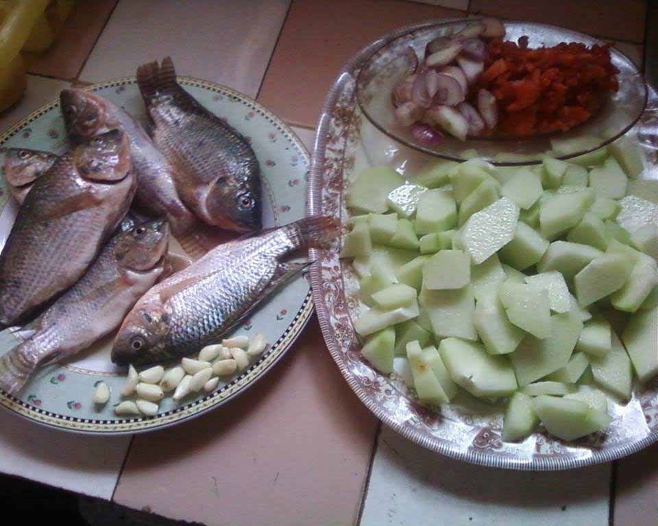 Akora ilaina Tilapia sy saosety 