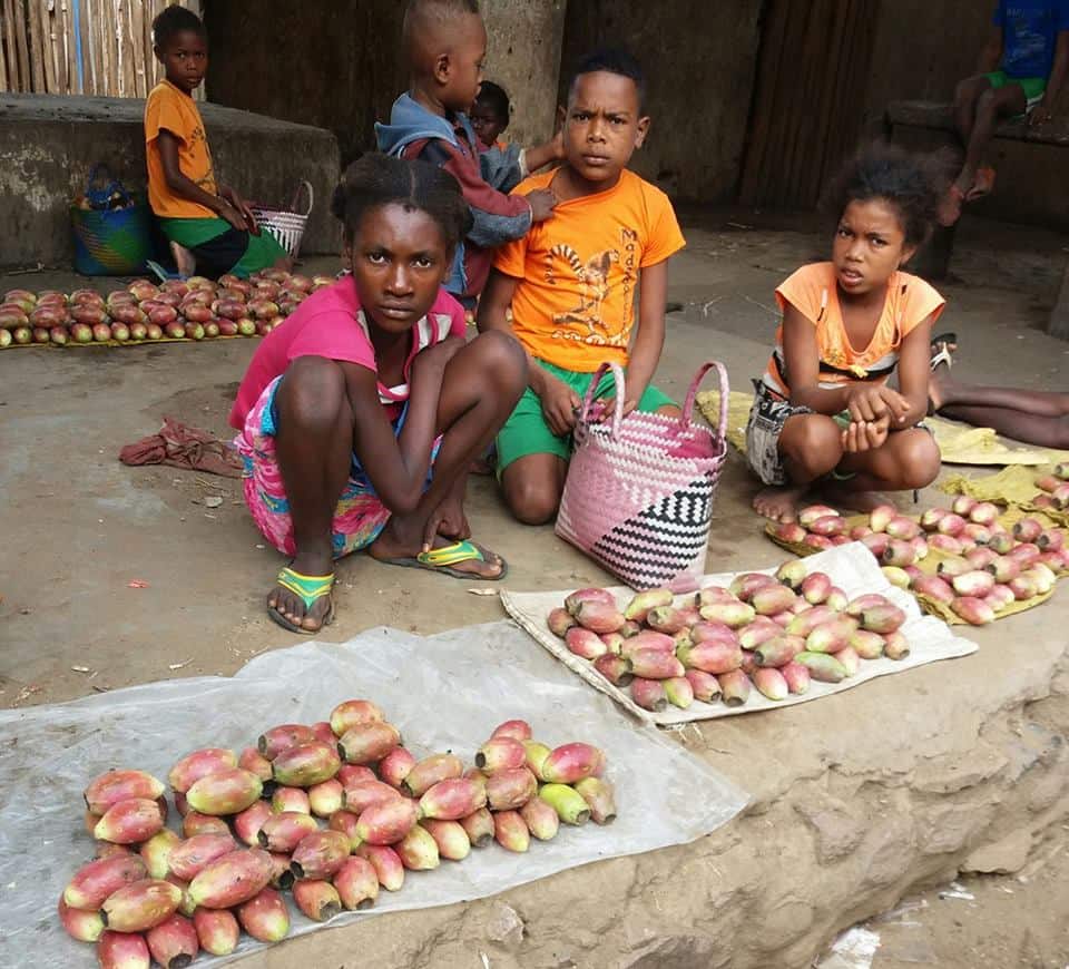 Vendeuses de raketa au marché d'Ambovombe Androy