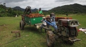 Mode de vie à Madagascar