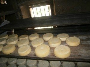 fromages délicieux