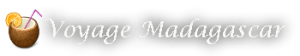 logo voyage madagascar