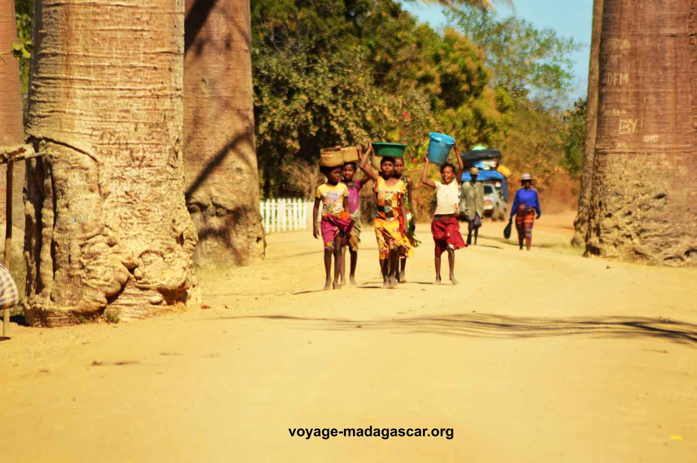 population malagasy