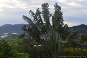 reserve ranomafana